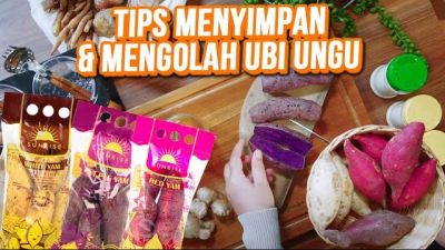 Tips Menyimpan dan Mengolah Ubi Ungu Panggang Supaya Tahan Lama ala Sunrise Indonesia