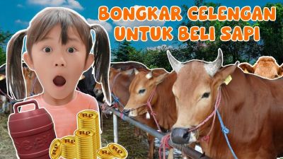 Aletha Nangis! Sapi Kurban Ini Bikin Satu Keluarga Terharu di Idul Adha